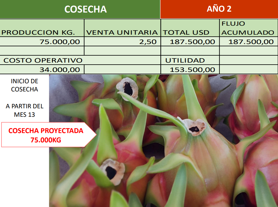 Captura de pantalla 2023-08-14 170900