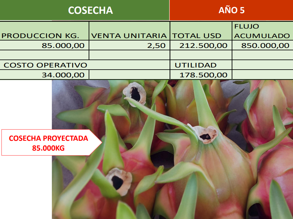 Captura de pantalla 2023-08-14 170936