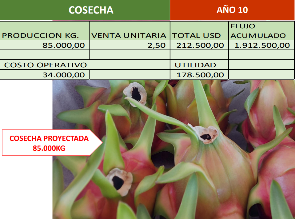 Captura de pantalla 2023-08-14 170949