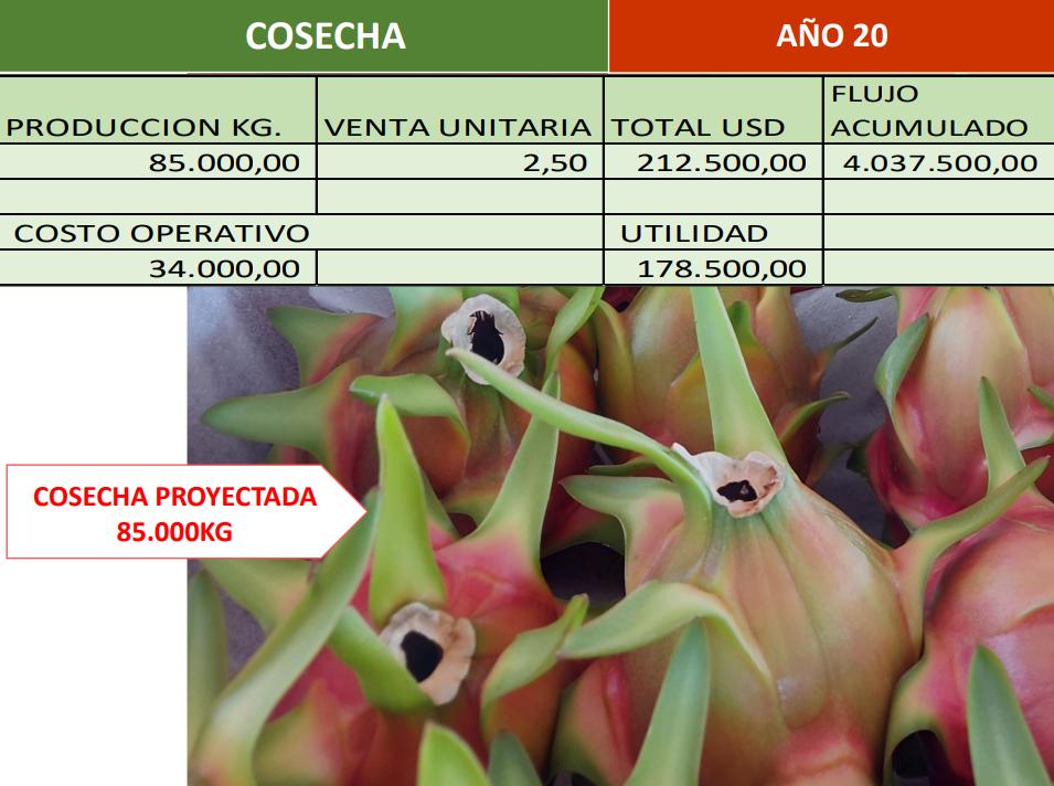 Captura de pantalla 2023-08-14 170958
