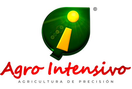 Sin título