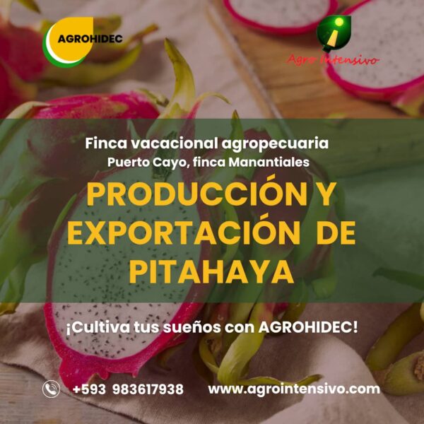 WhatsApp Image 2023-08-24 at 14.22.16 WhatsApp Image 2023-08-24 at 14.22.16